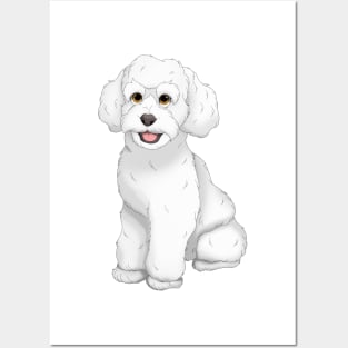 White Toy Poodle Dog Posters and Art